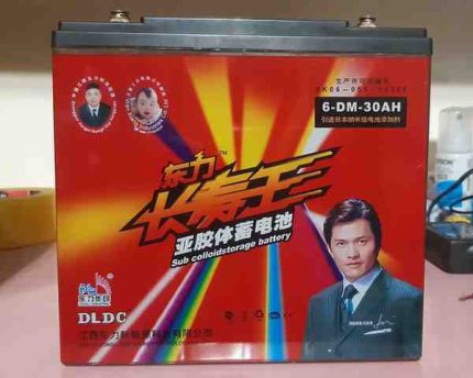 DLDC 12V 30Ah Battery